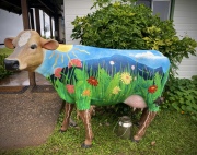 Mungalli Cow