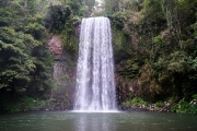 Millaa Millaa Falls