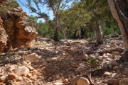 Edeowie Gorge