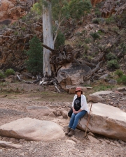 Lunch Bunyeroo Gorge