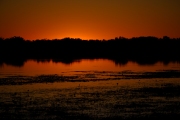 Leichardt Lagoon Sunset