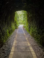 Spray Tunnel