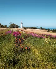 Table Cape Lighthouse