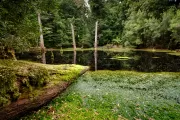 Tarkine Sinkhole