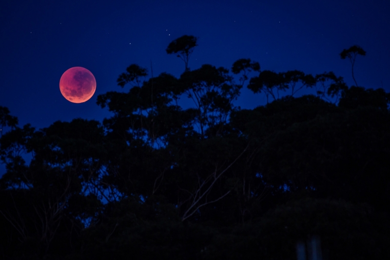 Lunar Eclipse 2018