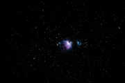 Orion Nebula