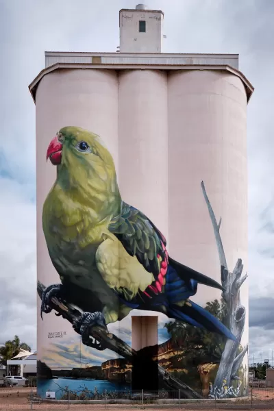 Waikerie Silo - Parrot