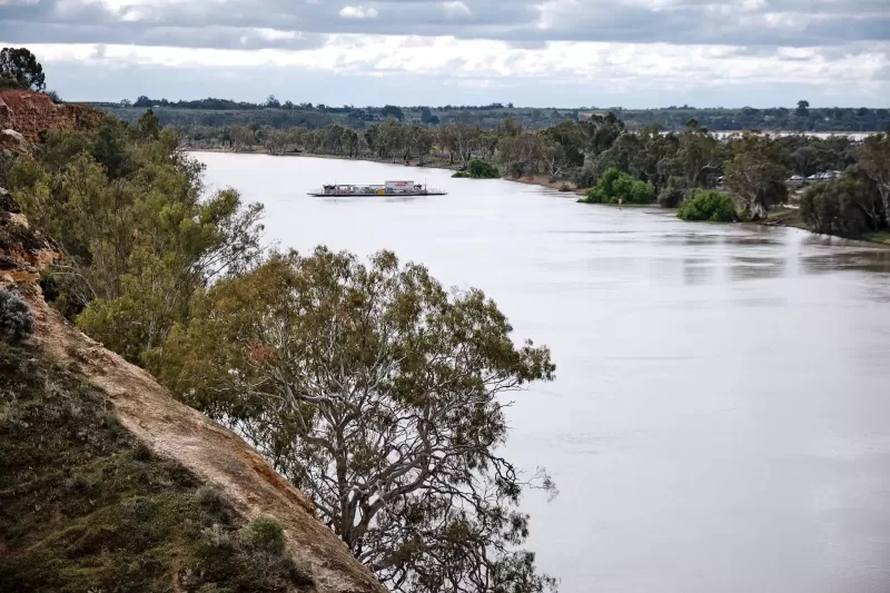 Waikerie Ferry