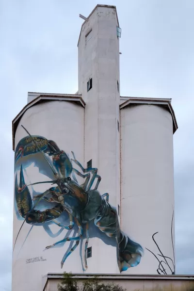 Waikerie Silo - Crayfish