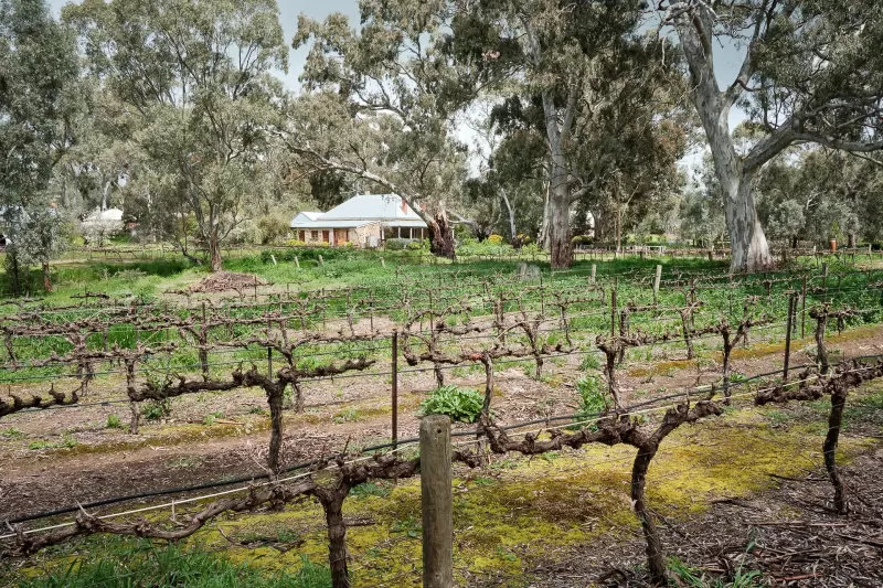 Mintaro House