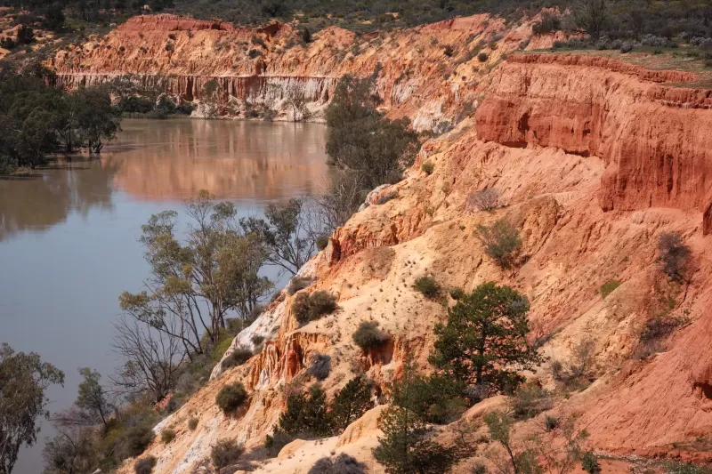 Murray Cliffs