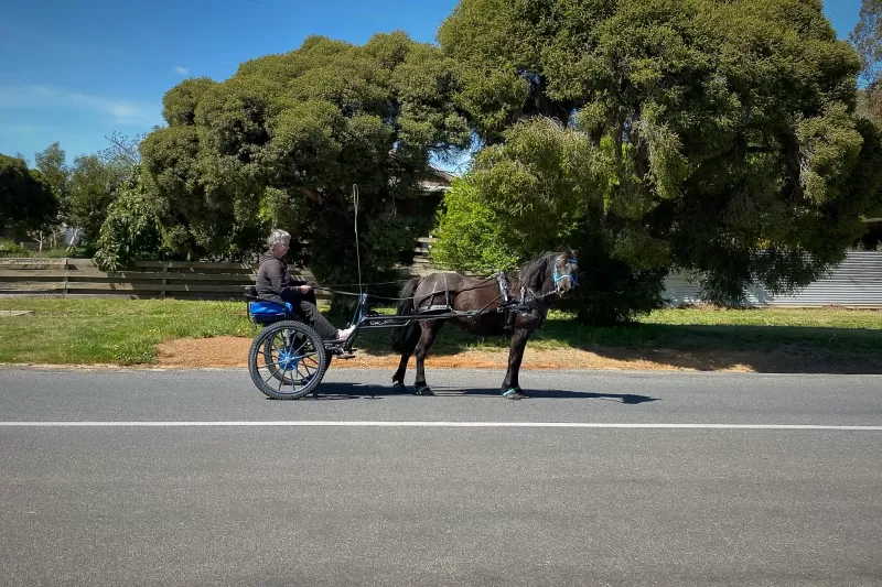 Horse and Cart