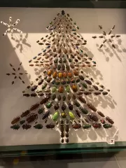 Christmas Beetle Tree