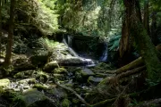 Horseshoe Falls