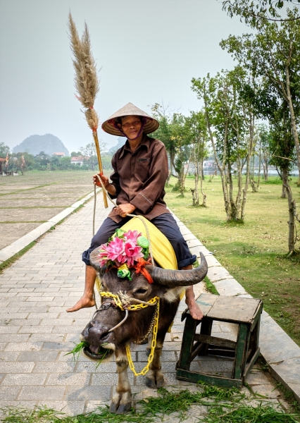 Man on Water Buffalo