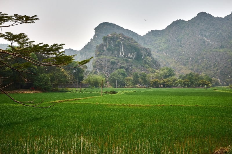 Hoa Lu, Ninh Binh