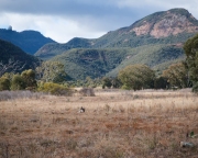 Warrumbungles