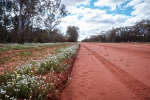 Darling River Run – Bourke to Wilcannia