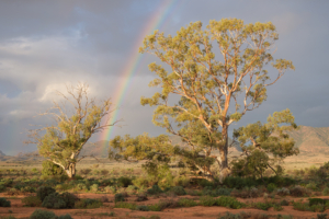 Flinders Ranges