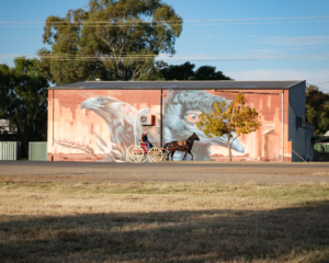 Cunnamulla to Warrumbungles